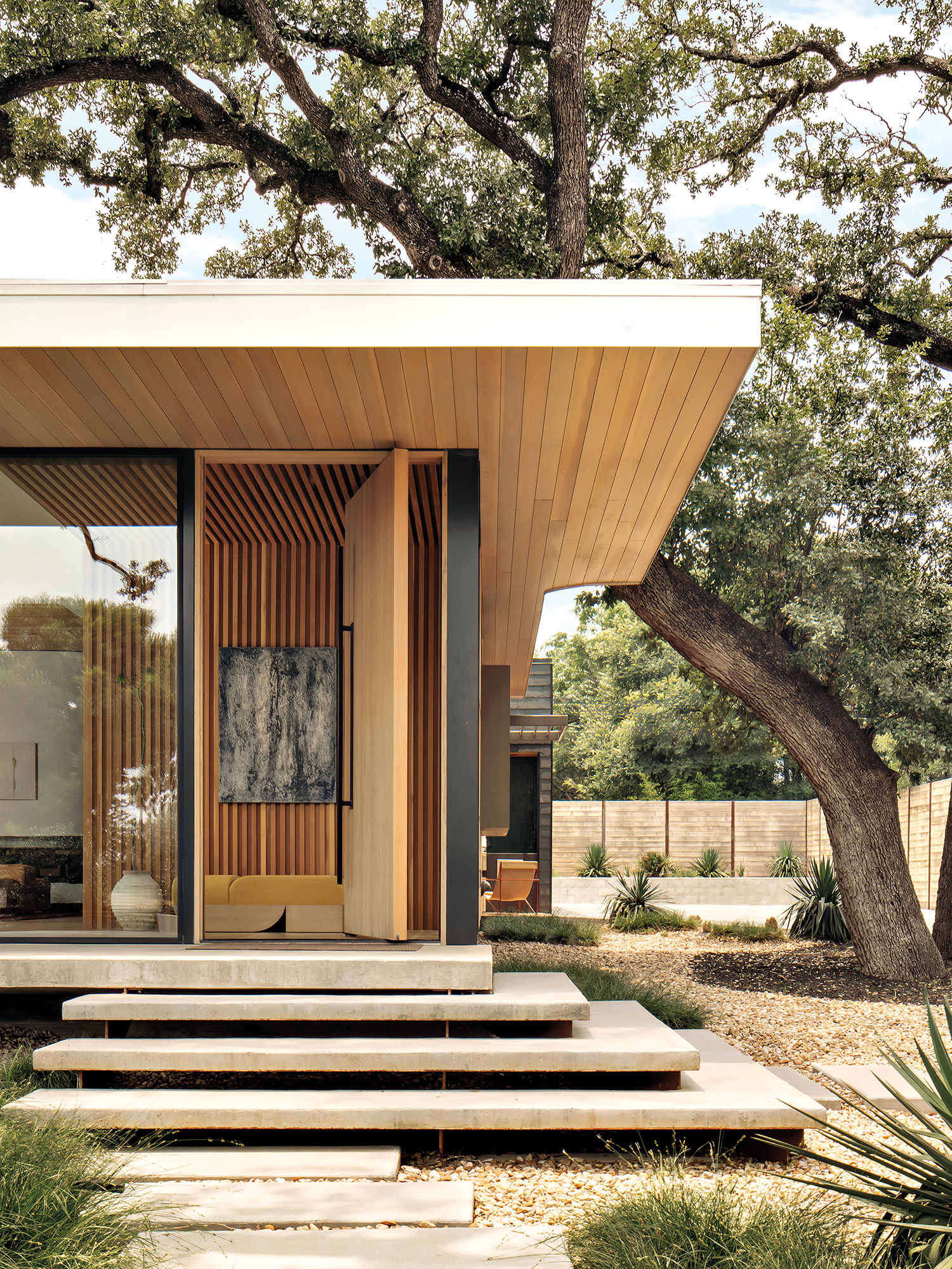 contemporary home surrounded by heritage oak trees