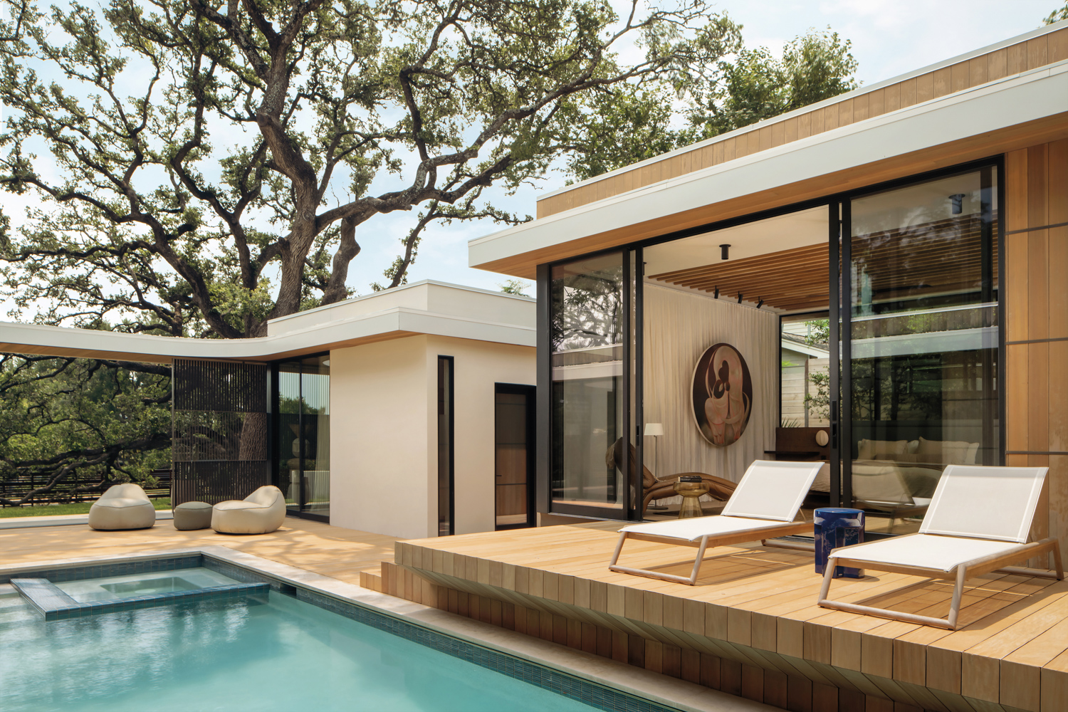 contemporary pool deck next to a large old oak tree