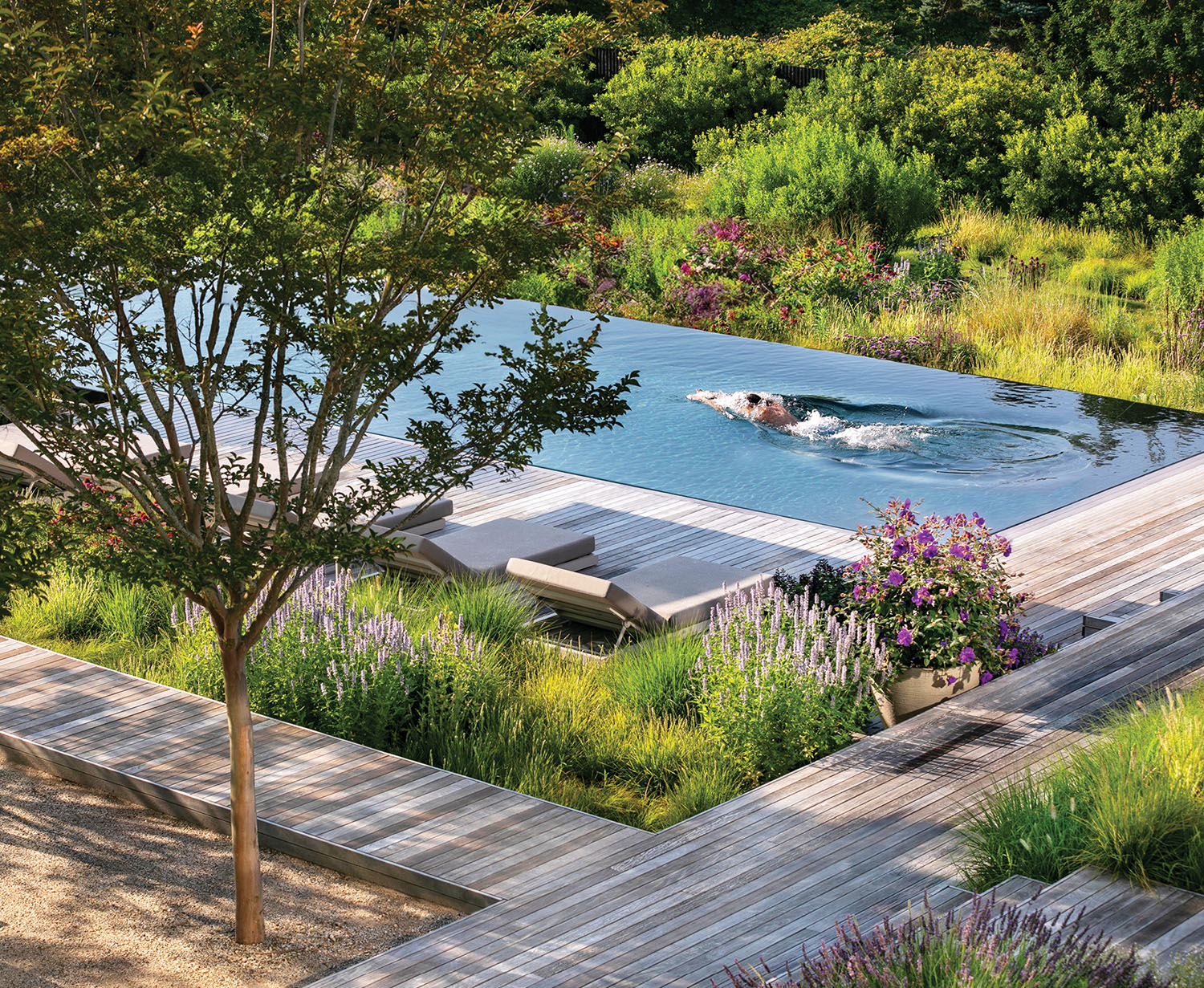 person swimming in infinity pool next to greenery