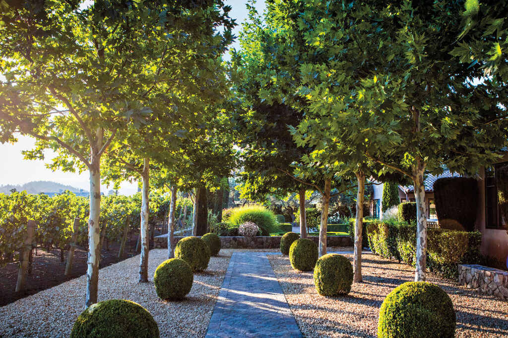 2-california-gardens-and-their-modernist-and-mediterranean-roots