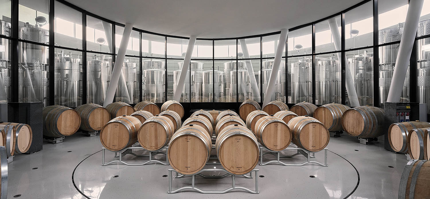 A room filled with wooden barrels and a glass wall